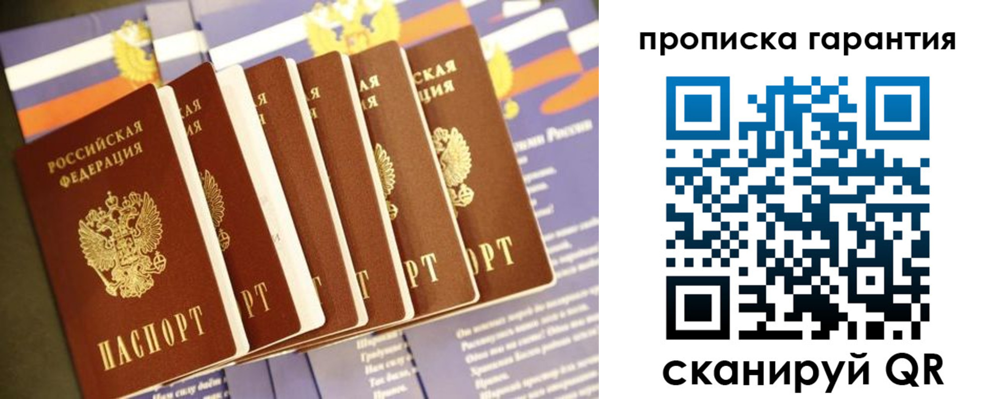 прописка поиск в Курганинске
